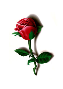 faux tatouages, tatouages temporaires, tatouages roses rouges, tatouages fleurs, tatouages