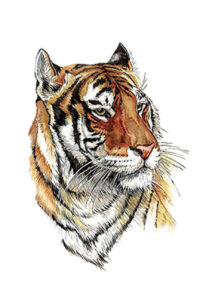 faux tatouage tigre, tatouage temporaire, faux tatouages