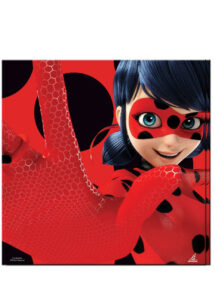 gobelets ladybug, gobelets miraculous, vaisselle miraculous, décorations miraculous