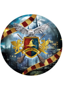 assiettes Harry Potter, gouter d'anniversaire Harry Potter, vaisselle Harry Potter, anniversaire Harry Potter