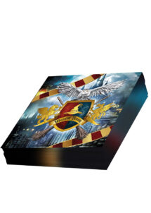 serviettes en papier Harry Potter, anniversaire Harry Potter, goûter d'anniversaire, vaisselle jetable Harry Potter
