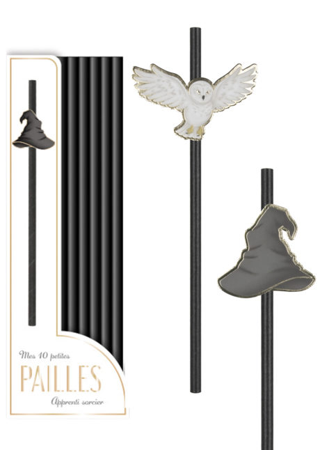 Harry potter, pailles en carton, pailles pour anniversaire, pailles pour goûters d'anniversaire, décorations sorciers, Pailles Jetables, Chapeau et Chouette de Sorcier