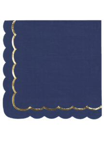 serviettes jetables, serviettes en papier, serviettes bleu marine papier